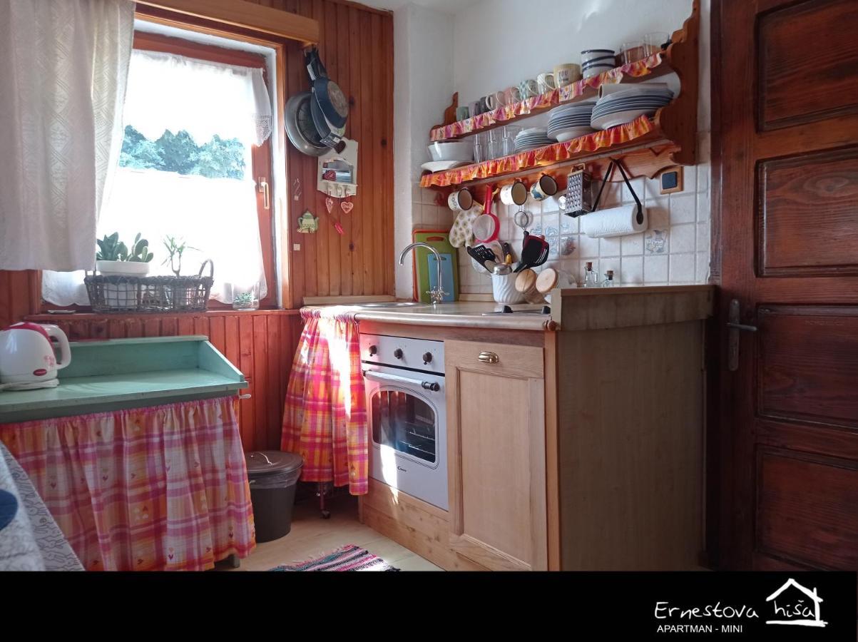 לוקווה Apartment Ernestova Hisa מראה חיצוני תמונה