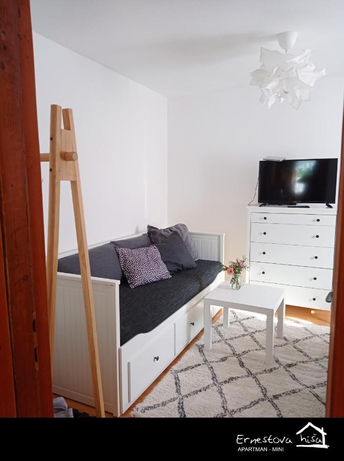 לוקווה Apartment Ernestova Hisa מראה חיצוני תמונה